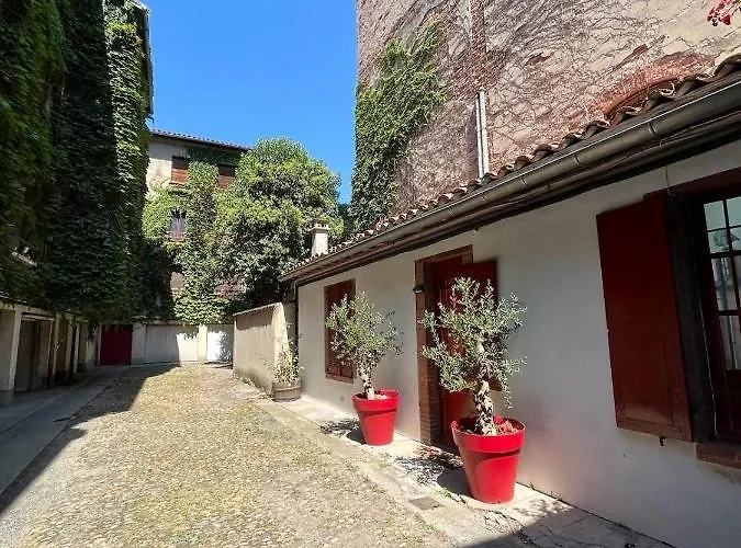 Petite Chartreuse Calme En Plein Coeur De Toulouse